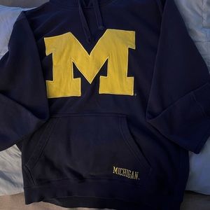Michigan State hoodie. Adult size medium.